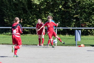 Bild 3 - Frauen SV Wahlstedt - Bramstedter TS : Ergebnis: 12:0